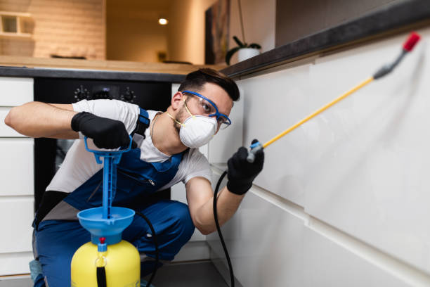 Best Pest Prevention Services  in Ivey, GA