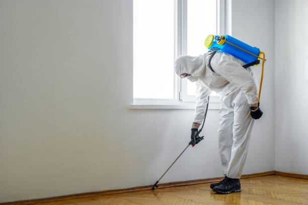 Best Pest Inspection Near Me  in Ivey, GA