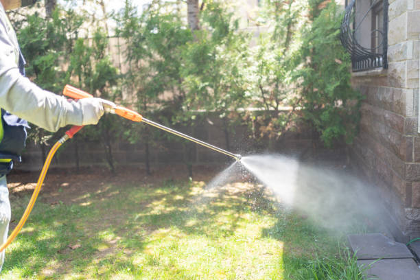 Best Exterminator Services  in Ivey, GA