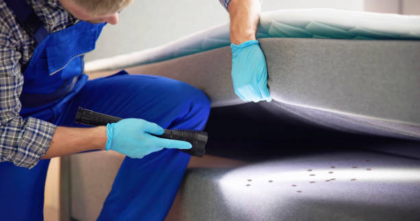 Best Local Pest Control Services  in Ivey, GA