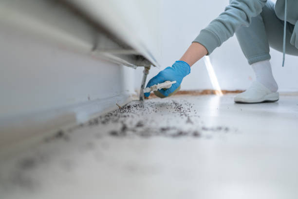 Best Affordable Pest Control Services  in Ivey, GA